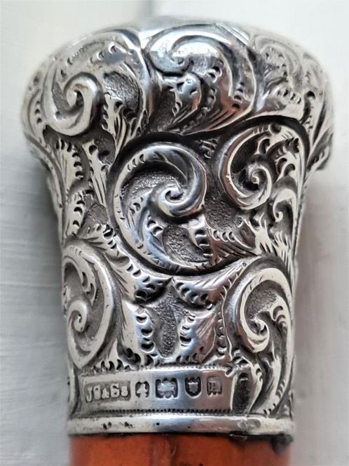Antieke malacca Wandelstok zilver London 1910 JS&Ss, Diversen, Wandelstokken, Gebruikt, Ophalen of Verzenden