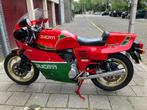 Réplique originale de la Ducati 900 MiKE Hailwood 1984 parfa, 860 cm³, Super Sport, 2 cylindres, Plus de 35 kW