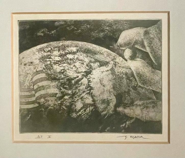 Roland MASSA (°1943) - ets, Antiek en Kunst, Kunst | Etsen en Gravures, Ophalen of Verzenden