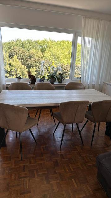 Te koop: Moderne eettafel met 6 comfortabele stoelen beschikbaar voor biedingen