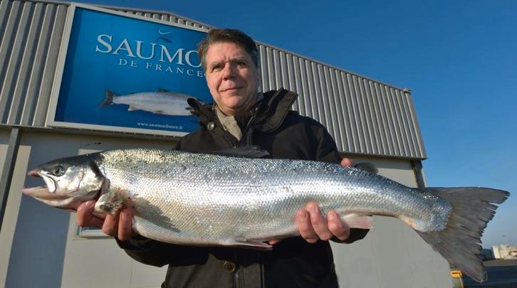 Vraiment passionné ?, Livres, Religion & Théologie, Utilisé, Christianisme | Protestants, Enlèvement