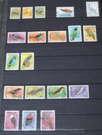 Suriname - vogels - gestempeld, Postzegels en Munten, Postzegels | Suriname, Ophalen of Verzenden, Gestempeld