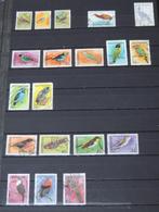 Suriname - oiseaux - estampillé, Timbres & Monnaies, Timbres | Surinam, Affranchi, Enlèvement ou Envoi