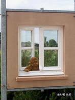 Châssis DEMO, Fenêtre de façade ou Vitre, Enlèvement ou Envoi, 80 à 120 cm, Double vitrage