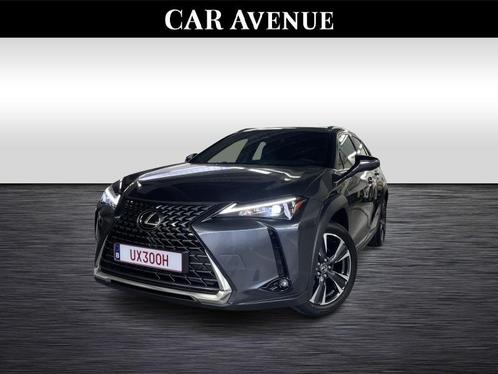 Lexus UX 250h Executive Line, Autos, Lexus, Entreprise, UX, Régulateur de distance, Airbags, Air conditionné, Bluetooth, Ordinateur de bord