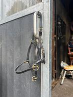 Lederen halster cob, Enlèvement ou Envoi, Comme neuf