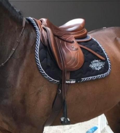 Bruno Delgrange virtuose kalfsleer, Dieren en Toebehoren, Paarden en Pony's | Zadels, Gebruikt, Springen, Ophalen