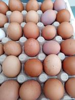 Verse eieren te koop, Ophalen