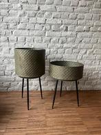 Plantenstaander, Ophalen