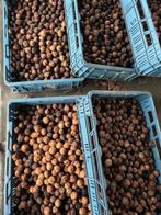 Okkernoten te koop, Tuin en Terras, Ophalen