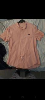 Chemise shein rose taille L, Shein, Ophalen of Verzenden, Halswijdte 41/42 (L), Roze