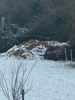 Fumier à donné, Ophalen of Verzenden, Mest