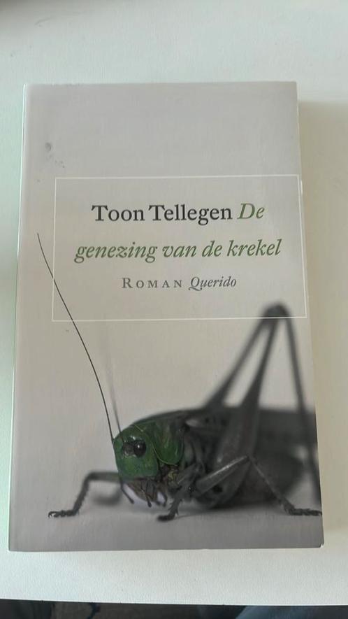 Toon Tellegen - De genezing van de krekel, Livres, Littérature, Enlèvement ou Envoi