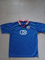 Matchworn shirt Dinamo Zagreb 1997-1998, Verzamelen, Sportartikelen en Voetbal, Ophalen of Verzenden, Shirt
