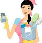 Femme de ménage, Offres d'emploi
