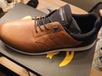 Nieuwe herenschoen Salamander maat 45, Enlèvement, Neuf, Andere