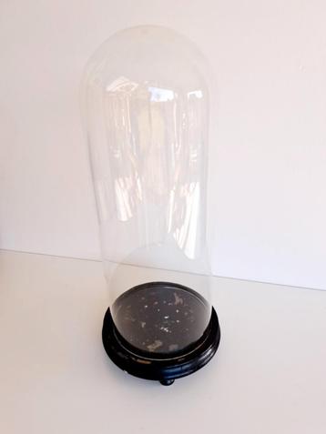 GERESERVEERD - Vintage glazen stolp beschikbaar voor biedingen