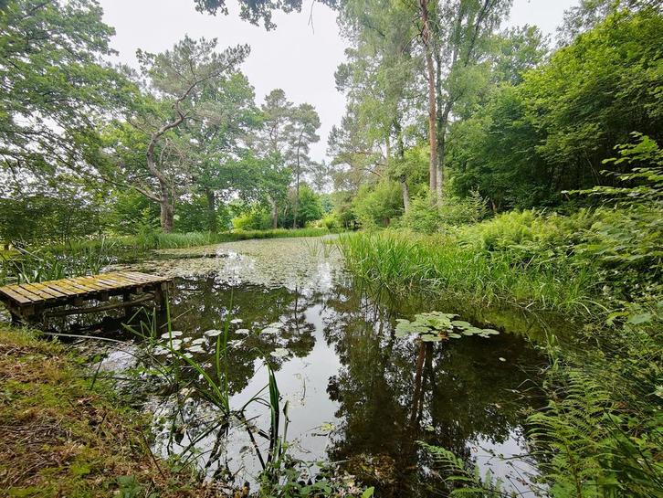 Terrain avec etang zone forestière., Immo, Gronden en Bouwgronden