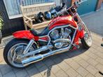 Harley davidson v rod 280 ombouw candy red, 2 cilinders, Particulier, 1200 cc