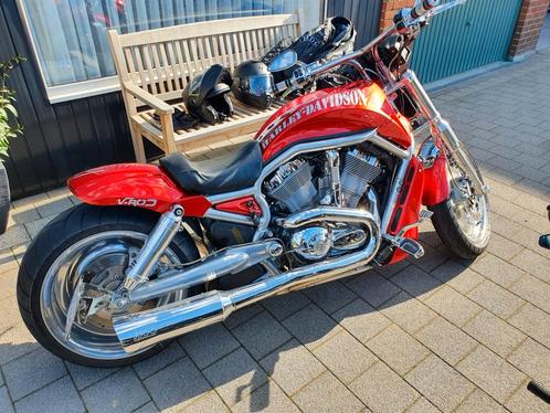 Harley davidson v rod 280 ombouw candy red, Motoren, Motoren | Harley-Davidson, Particulier, 2 cilinders, Ophalen