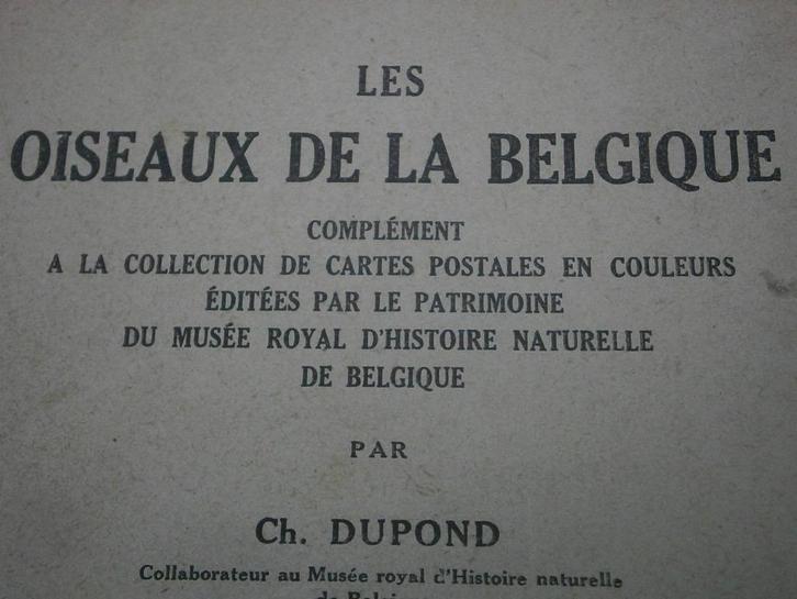 Ansichtkaarten, vogels, boekaanvulling uit 1943, Verzamelen, Postkaarten | Dieren, 1940 tot 1960, Vogel, Ophalen of Verzenden
