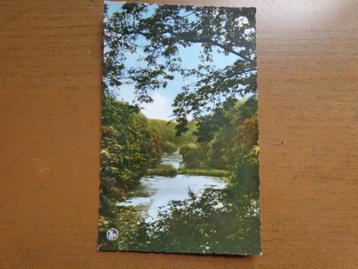 Postkaart Hoeilaart, zicht op de vijvers te Groenendael
