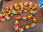 6 Hawaïaanse halsbanden carnaval of school basisschool, Kleding | Dames, Carnavalskleding en Feestkleding, Ophalen, Zo goed als nieuw