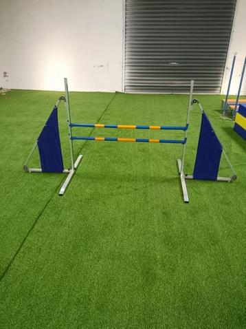 Agility Professionele Sprong Dubbel - 2 Latten - Verstelbaar beschikbaar voor biedingen