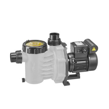 Zwembadpomp Speck PPG Compact 12 – Aangekocht 10/06/2023 beschikbaar voor biedingen