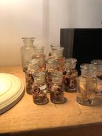 TAXIDERMIE FORMOL PREPARATEN FOETUS KAT OCTOPUS ZEESTER, Verzamelen, Ophalen, Nieuw, Overige typen
