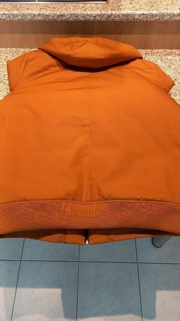 Mannenblouson  beschikbaar voor biedingen