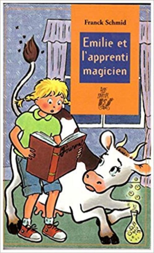 "Emilie et l'apprenti magicien" Franck Schmid (2001), Livres, Livres pour enfants | Jeunesse | Moins de 10 ans, Utilisé, Fiction général
