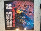 Husker du ..candy apple grey .Punk, Verzenden, Zo goed als nieuw