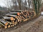 Eiken en beuken brandhout stammen, Jardin & Terrasse, Bois de chauffage, 6 m³ ou plus, Troncs d'arbres, Envoi, Chêne