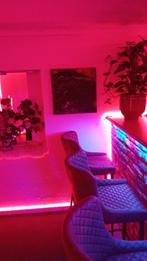 Bar à champagne, Vacatures, Variabele uren, Starter, Tijdelijk contract, Geschikt als bijbaan