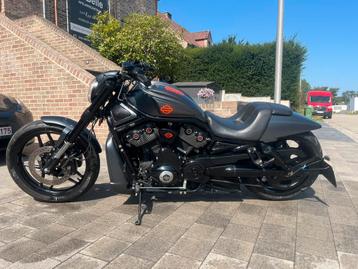 Harley Davidson Night Rod custom beschikbaar voor biedingen