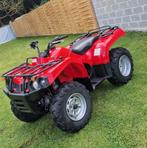 Quad Hisun 400  4x4, Motoren