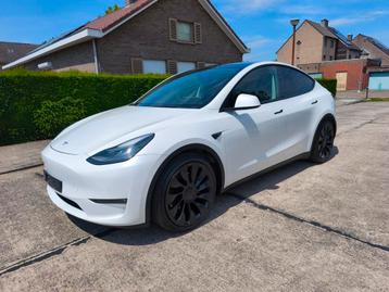 Tesla Model Y Performance* Autopilot * btw incl beschikbaar voor biedingen