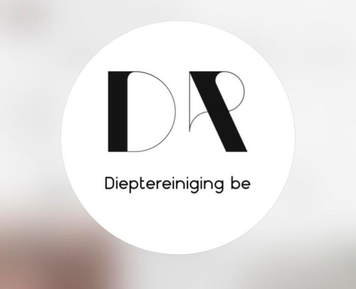 Professionele dieptereiniging van uw zetel – bij u aan huis, Diensten en Vakmensen, Klusjesman en Klusbedrijf