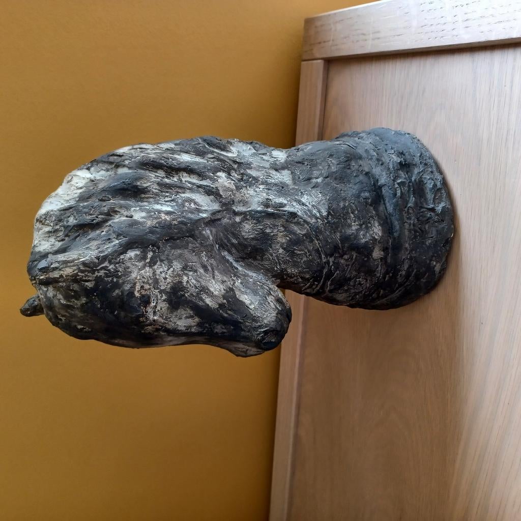 Paardenhoofd, Ophalen, Gebruikt