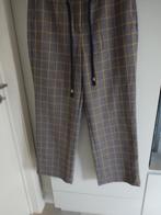 Winterbroek dames: culotte, Maat 38/40 (M), Overige kleuren, Ophalen of Verzenden, Zo goed als nieuw