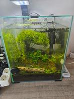 Aquael day& night set 30l, Dieren en Toebehoren, Ophalen, Zo goed als nieuw, Leeg aquarium