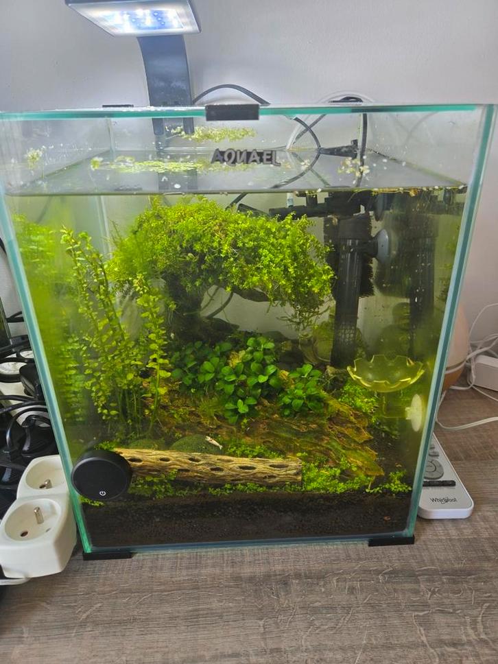 Aquael day& night set 30l, Dieren en Toebehoren, Vissen | Aquaria en Toebehoren, Zo goed als nieuw, Leeg aquarium, Ophalen