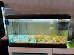 Aquarium, Dieren en Toebehoren, Ophalen, Zo goed als nieuw