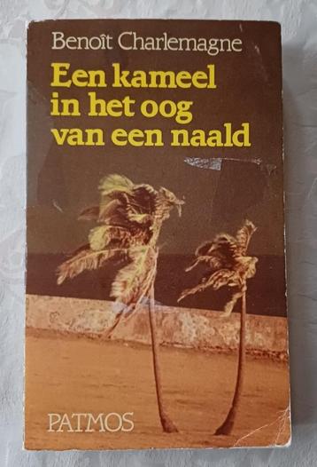 Benoît Charlemagne - Kameel in het Oog v/e Naald beschikbaar voor biedingen
