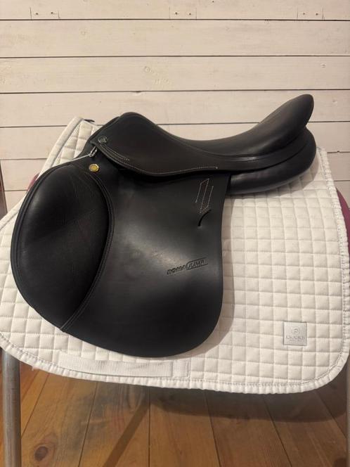 Meer dan 175 tweedehandszadels op voorraad, Dieren en Toebehoren, Paarden en Pony's | Zadels, Ophalen