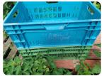 Caisses plastique TRE SOLIDE ET GRAND VOLUME 60X40ET HAUTE, Enlèvement