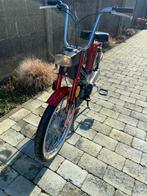 Honda Camino, 1 cylindre, Sport, 49 cm³, Particulier