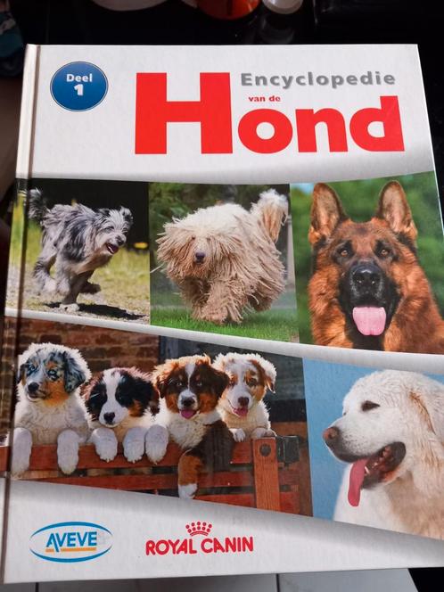 Encyclopedie van de hond 1tem4 (compleet), Boeken, Dieren en Huisdieren, Zo goed als nieuw, Ophalen of Verzenden