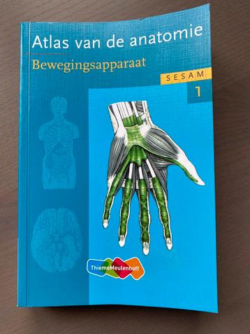 Atlas van de anatomie - Bewegingsapparaat beschikbaar voor biedingen